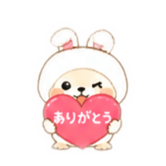 yuzuaya_20260827020319
