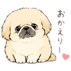 Acchan_20260827021637