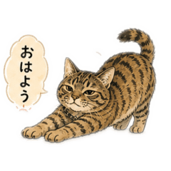 catday(kawaii)