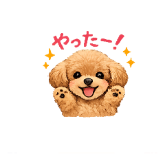 Aki_20260827100428