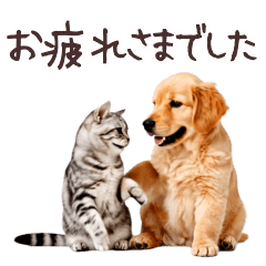 Animated Golden Retriever Puppy: Polite