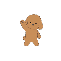 No Text Toy Poodle Animated (Apricot)