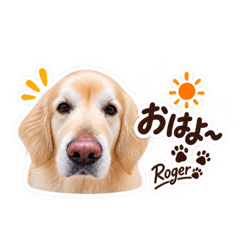 Ryusei_20260827102157