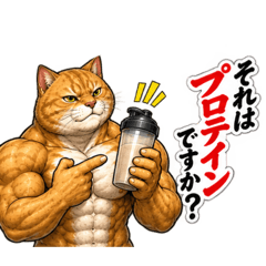 chika_20260827102449