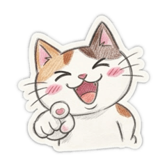 normal cat normal