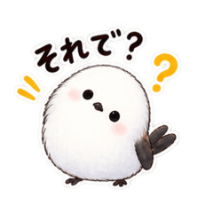 shamo_20260827125853