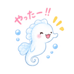 animal8_20260827132428