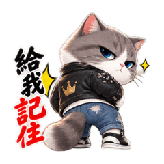 跩貓就你理由最多