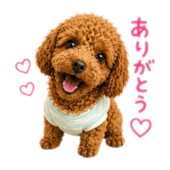 yoppipi_20260827134958