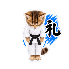 KARATE FORMS CATS