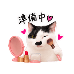 Hokkori Neko Cappuccino_20260827143240