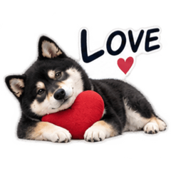 kuroshiba_stickers