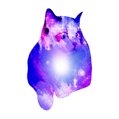 universe cat
