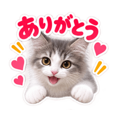 mitarashidango_20260827143047