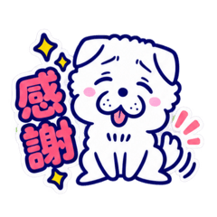 Shiro Miya the Dog