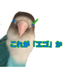 LITY_20260827143748