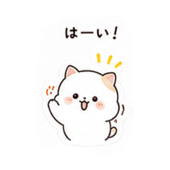 Sandra Apple_20260827144155