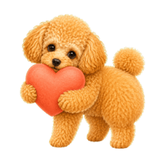 yukkejan_20260827150238