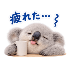 Real Koala's Exhausted Days