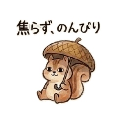 R Ruru_20260827151521