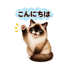 shimashimao_20260827151017
