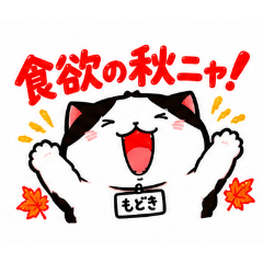 modoki_20260827145808