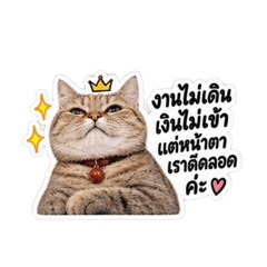 Hello piyada_20260827131623