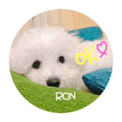 ronronronchan