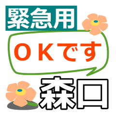 Emergency use[moriguchi,morikuchi]name