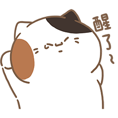 小三花看家中Sanfa cat-悠悠哉哉的週末