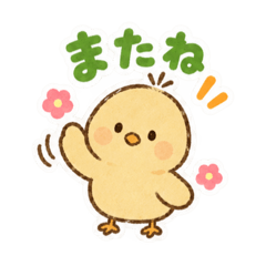 piyopiyo chan.