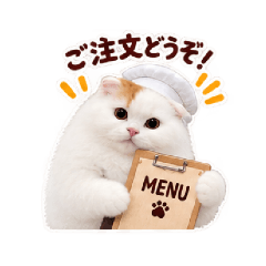kohakun_20260827213328