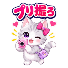 A kitten that loves photos.