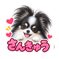 mimi_20260827135922