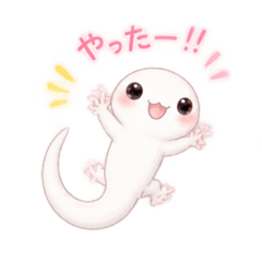 animal8_20260827154842