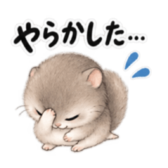 Gentle Dormouse Days