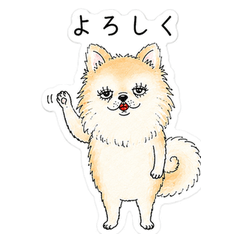 Sleepy Pomeranian Stickers