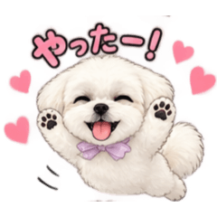 Tomoya_20260827164356