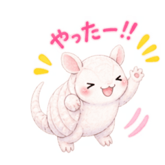 animal8_20260827165117