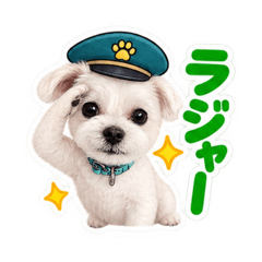 charmmmy_20260827172714