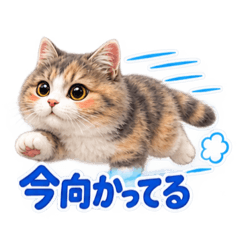 YuruNeko Studio_20260827173233