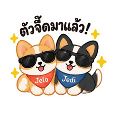 Jedi x Jelo TheMonster Corgis1 (TH Ver.)