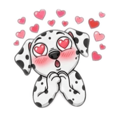 Shibakoro_20260827183736