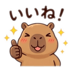komugi_20260827184435