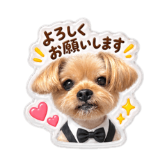 Cookiehouse_20260827175727