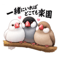 chika_20260825014052