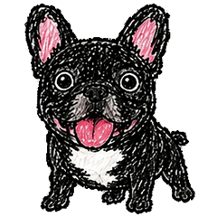 Lupin the Frenchie