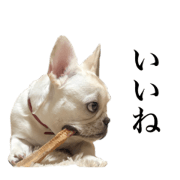 Byakudan stamp