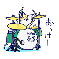 drum and cat