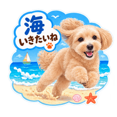 Suzuking_20260827221400